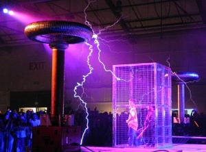 Biological Faraday Cage