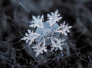Sacred Geometry of Frozen Light