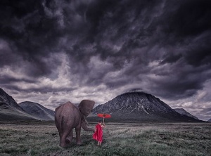 Human Needs And Desires