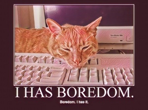 Is Bored So Bad?