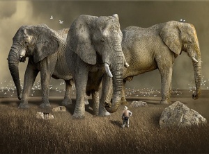 The Illusion of Power