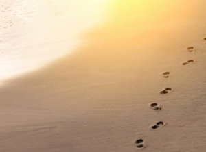 What I Learned After Years of Going Against My Intuition