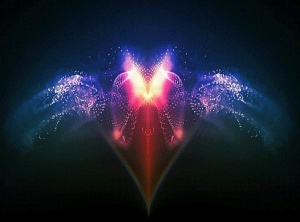 We Are Not Separate…