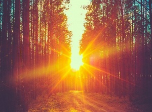 Let There Be Light