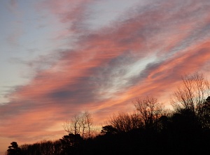 New Day