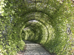 Grander Paths To Unfold