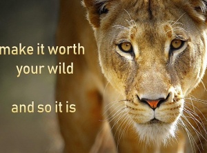 Make It Worth Your Wild