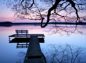 Assess, Reset and Strengthen