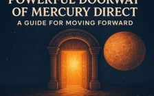 Mercury Direct Portal Guide for Forward Momentum