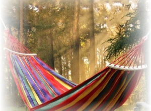 Hammocking: The Science And Art Of Daydreaming