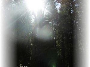 Retreat and (meno)pause