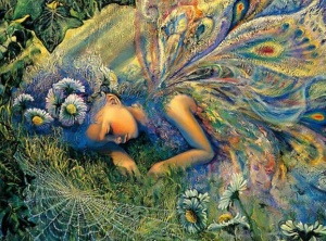 Distilling our Human Experiences into Soul Wisdom