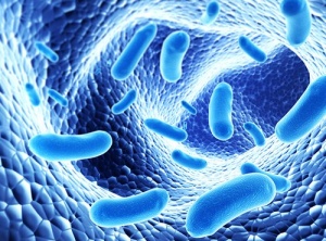 Alchemy of Pathogens, Role of the LightBody