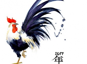 Year of the Yin Fire Rooster 2017