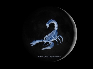 15:15 Scorpio NEW MOON: Liquid Energy in Motion