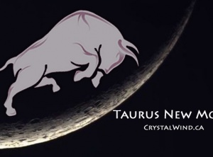 11:11:11:11 Taurus New Moon
