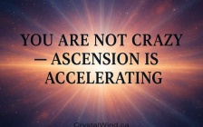 You Are Not Crazy — Ascension Is Accelerating