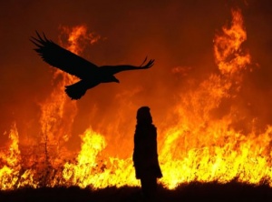 Fire Ceremony for Eagle Wisdom