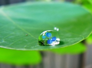 Conscious Or Unconscious Creation? 