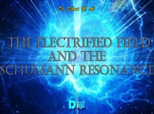 The Electrified Field And The Schumann Resonance