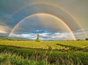 Searching for the Rainbow