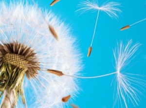 Channeled Message: Clearing Incorrect Learned Beliefs