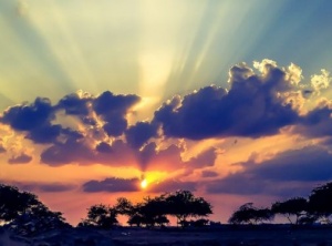Channeled Message: Restructure Your Mind To Remove Blocks To Happiness