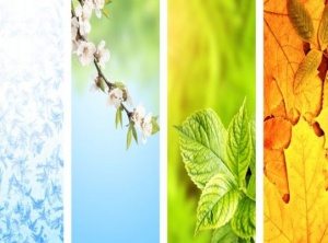 Channeled Message: Shifting Cycles