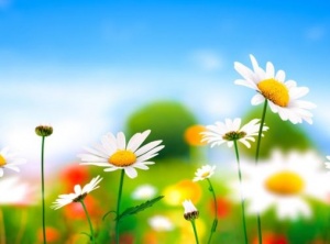 Channeled Message: The Beautiful Frequency of Exchange