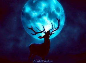Blue SuperMoon: 'Call of the Deer'
