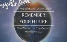 Insights from Remember Your Future - Wisdom of the Council