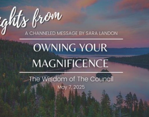 Insights from the Council: Embracing Your Magnificence
