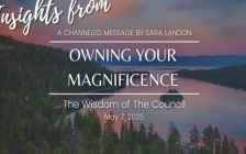 Insights from the Council: Embracing Your Magnificence