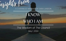 I Know Who I Am: Council Insights Revealed!