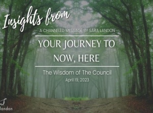 Insights from Your Journey to Now, Here - Wisdom of the Council