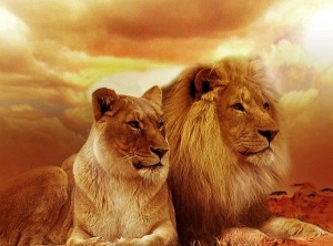 August 2020 Energy Update: The Time For Sleeping Is Over: The Arcturian Collective