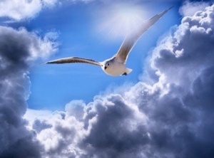 March 2021 Energy Update: Remember The Avatar You Are - The Arcturian Collective