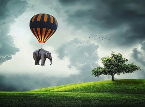 February 2020 Energy Update - The Arcturian Collective