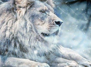 The Greatest Show on Earth, Epic Revelations & Illuminations: The Arcturian Collective