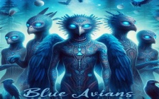 Transmission from Blue Avians Reveals Harmonic Timefields Secrets