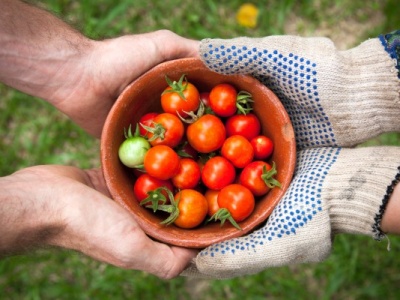 The Many Ways Gardening Can Improve Your Life