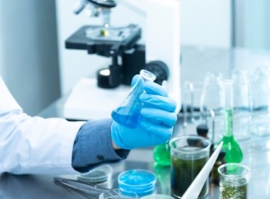 From Lab to Life: The Role of Preclinical Research Services