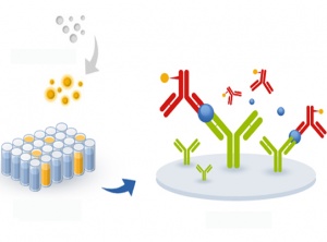 Choosing the Right ELISA Kit for Your Lab: 5 Crucial Things to Keep in Mind