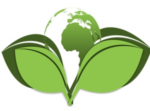 Why Is Important To Adopt an Eco-Friendly Business Mindset