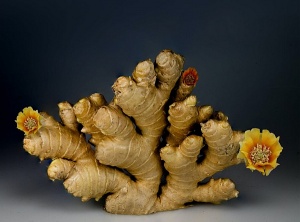 How Ginger Can Help You to Protect Yourself Against Virus 