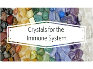 Crystals for the Immune System