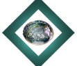 Abalone Shell