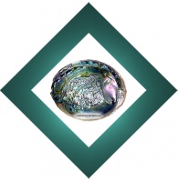 Abalone Shell