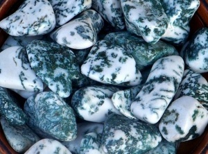 Crystal Magic: Tree Agate