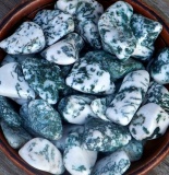 Crystal Magic: Tree Agate